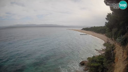 Zlatni rat