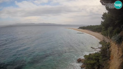 Zlatni rat