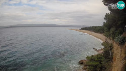 Zlatni rat