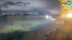 Zlatni rat