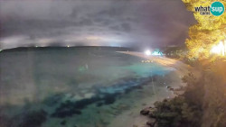 Zlatni rat