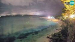 Zlatni rat