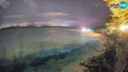 Zlatni rat