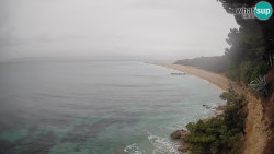 Zlatni rat