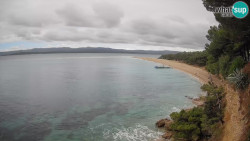 Zlatni rat