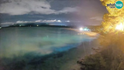 Zlatni rat
