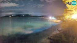 Zlatni rat