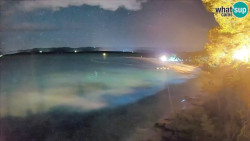 Zlatni rat