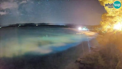 Zlatni rat