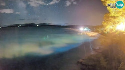 Zlatni rat