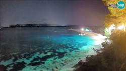 Zlatni rat