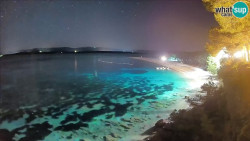 Zlatni rat