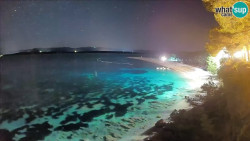 Zlatni rat