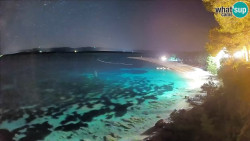 Zlatni rat