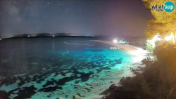 Zlatni rat