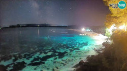 Zlatni rat