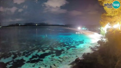 Zlatni rat