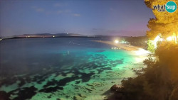 Zlatni rat