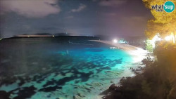 Zlatni rat