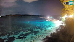 Zlatni rat