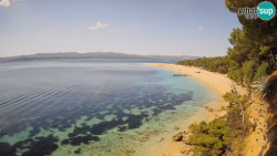 Zlatni rat