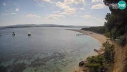Zlatni rat