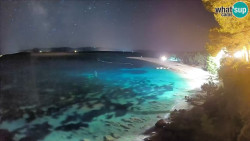 Zlatni rat