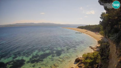 Zlatni rat