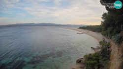 Zlatni rat