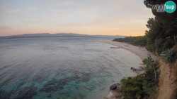 Zlatni rat