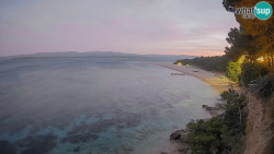 Zlatni rat