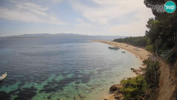 Zlatni rat