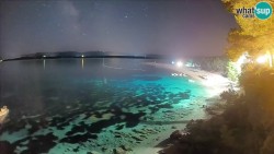 Zlatni rat