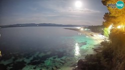 Zlatni rat