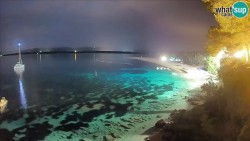 Zlatni rat