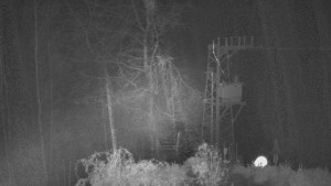 Skiareál Troják - Troják, Maruška - odpočivadlo HM52 - 15.11.2024 v 03:03 Skiareál Troják - Troják, Maruška - odpočivadlo HM52 - 15.11.2024 v 03:03