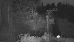 Skiareál Troják - Troják, Maruška - odpočivadlo HM52 - 15.11.2024 v 19:03 Skiareál Troják - Troják, Maruška - odpočivadlo HM52 - 15.11.2024 v 19:03