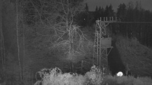 Skiareál Troják - Troják, Maruška - odpočivadlo HM52 - 15.11.2024 v 20:03 Skiareál Troják - Troják, Maruška - odpočivadlo HM52 - 15.11.2024 v 20:03