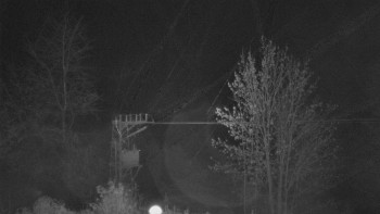 Snímek    29.10.2025 v 04:33