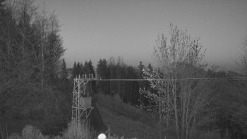 Snímek 7.11.2025 v 17:03