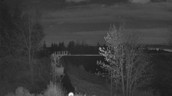 Snímek 8.11.2025 v 22:15