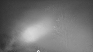 Skiareál Troják - Troják, Maruška - odpočivadlo HM52 - 12.11.2025 v 04:03 Skiareál Troják - Troják, Maruška - odpočivadlo HM52 - 12.11.2025 v 04:03