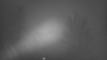 Snímek 17.11.2025 v 06:35