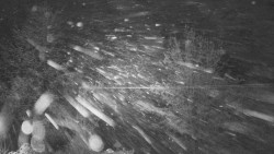 Troják, Maruška - odpočivadlo HM52