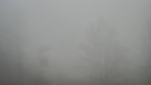 Skiareál Troják - Troják, Maruška - odpočivadlo HM52 - 13.12.2025 v 10:45 Skiareál Troják - Troják, Maruška - odpočivadlo HM52 - 13.12.2025 v 10:45