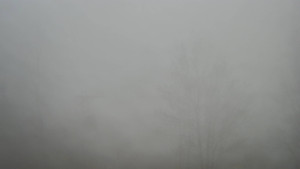 Skiareál Troják - Troják, Maruška - odpočivadlo HM52 - 13.12.2025 v 10:50 Skiareál Troják - Troják, Maruška - odpočivadlo HM52 - 13.12.2025 v 10:50