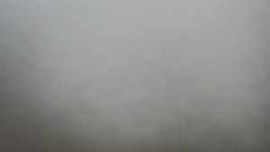 Skiareál Troják - Troják, Maruška - odpočivadlo HM52 - 13.12.2025 v 11:05 Skiareál Troják - Troják, Maruška - odpočivadlo HM52 - 13.12.2025 v 11:05