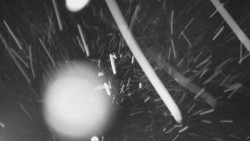 Troják, Maruška - odpočivadlo HM52