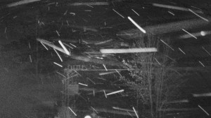 Skiareál Troják - Troják, Maruška - odpočivadlo HM52 - 15.2.2026 v 00:05 Skiareál Troják - Troják, Maruška - odpočivadlo HM52 - 15.2.2026 v 00:05