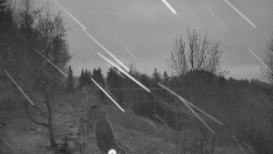 Skiareál Troják - Troják, Maruška - odpočivadlo HM52 - 17.3.2026 v 05:35 Skiareál Troják - Troják, Maruška - odpočivadlo HM52 - 17.3.2026 v 05:35